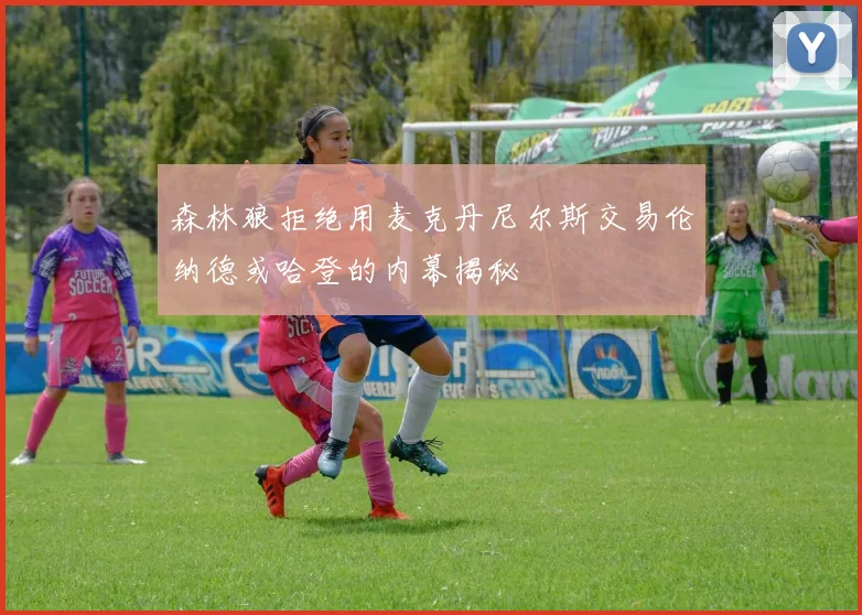 森林狼拒绝用麦克丹尼尔斯交易伦纳德或哈登的内幕揭秘