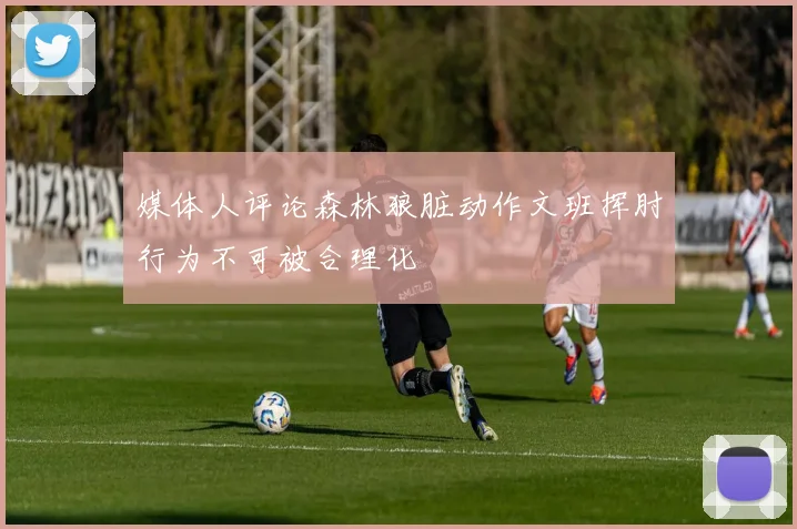 媒体人评论森林狼脏动作文班挥肘行为不可被合理化