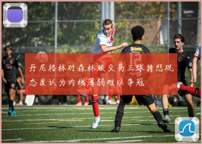 丹尼格林对森林狼交易三球持悲观态度认为内线薄弱难以争冠