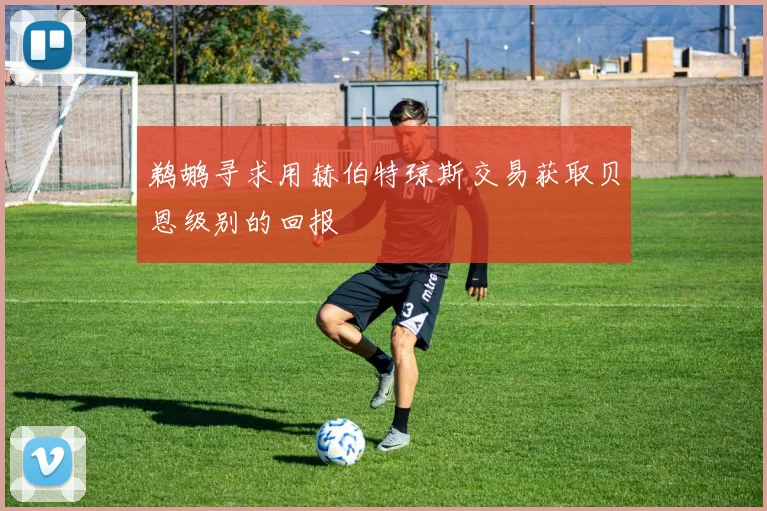 鹈鹕寻求用赫伯特琼斯交易获取贝恩级别的回报